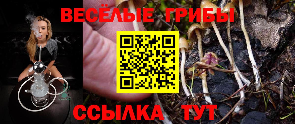 МЕФ Полевской
